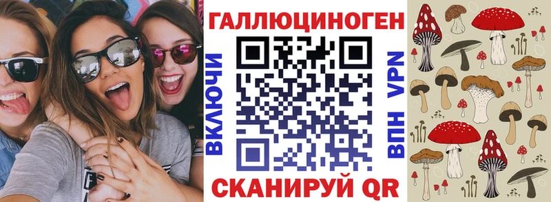 как найти   Морозовск  Псилоцибиновые грибы MAGIC MUSHROOMS 